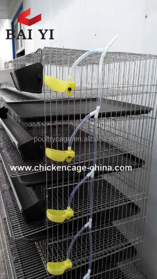 Good Quality ! Low Price ! Galvanized Quail Cage For Laying Hens And Quail Egg Boxes( Factory Price )