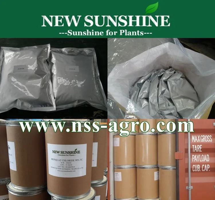Hot sale Agriculture product 6-Benzylaminopurine 6-BA for plant hormone
