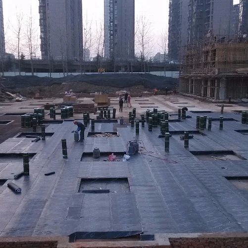 sbs modified bitumen pvc roof garden waterproofing membrane