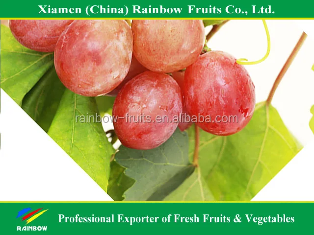 
Fresh Chinese Red Grape for Indonesia & Malaysia & Pilipina & Thailand market 
