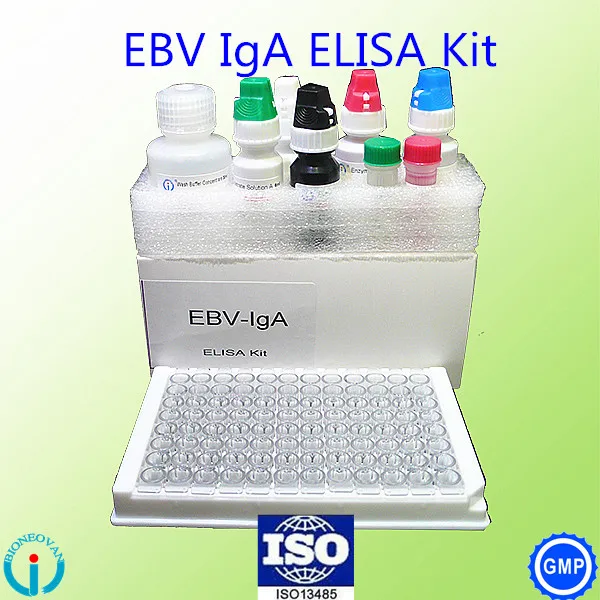enzyme immunoassay Epstein Barr Virus VCA IgA EBV IgA ELISA test kit