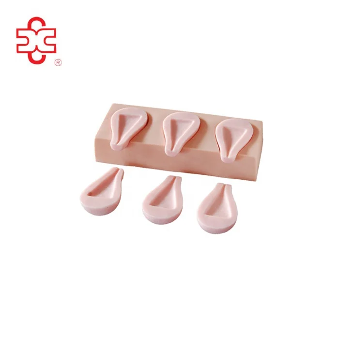 Искусственное прерывание имитация матки модели женских гениталий