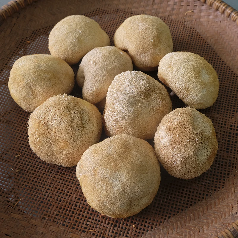 
Detan price of 1kg fresh lions mane mushroom 