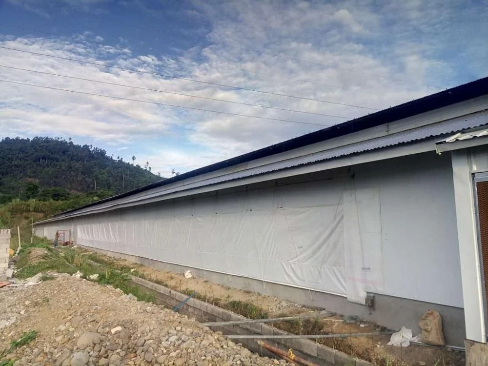 
Low cost steel structure poultry farm chicken house designs for sale 