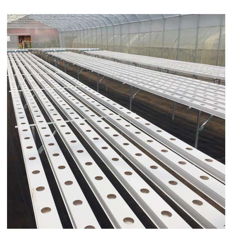 
pvc channel hydroponic nft growing systems for farm growing vegetable with hot dip galvanized frame/ stainless steel frame 