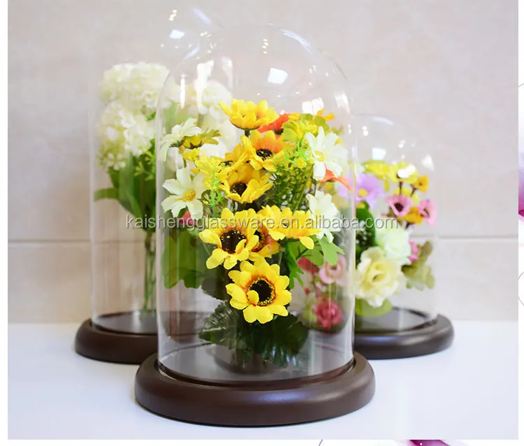 Home decoration clear glass bell jar with base wooden