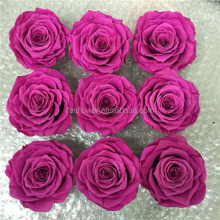 Unique style excellent quality freeze dried roses preserved rose flower