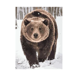 Hot Selling Polar Bears Walking in the Snow Decorative indoor hanging Painting by numbers Diy Digital Oil Painting with Frame