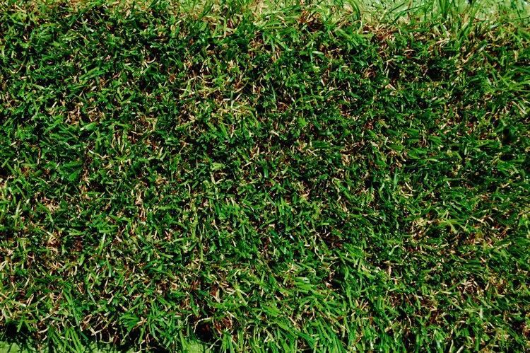 
Hot selling!!! artificial grass tufting machine with high quality 