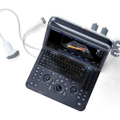 EBit60 портативный цветной ультразвук 4D для ветеринарии, собак, кошек, лошадей, дисплей 15,1 дюйма, 500 Гб