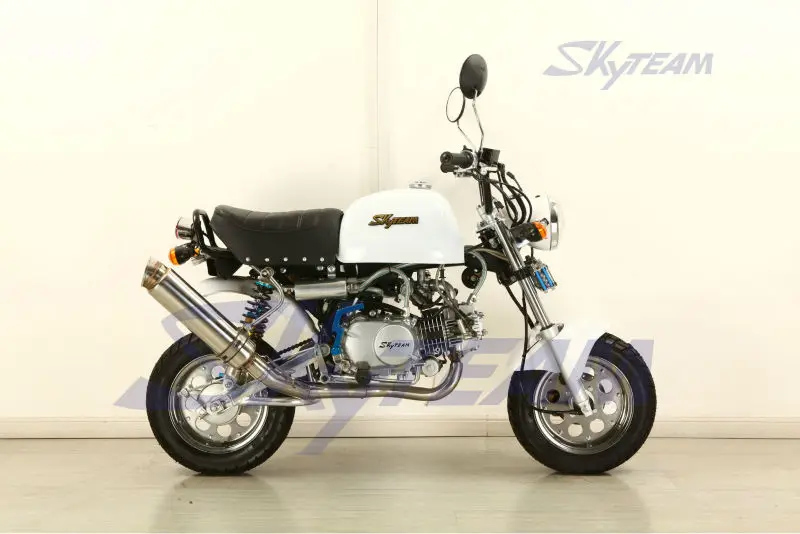
SKYTEAM skybongo 125cc Gorilla Monkey bike monkey motorcycle (EEC EUROV EURO5 APPROVED) 