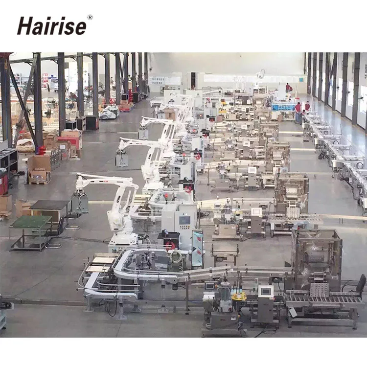 Food belt lifting conveyor customized