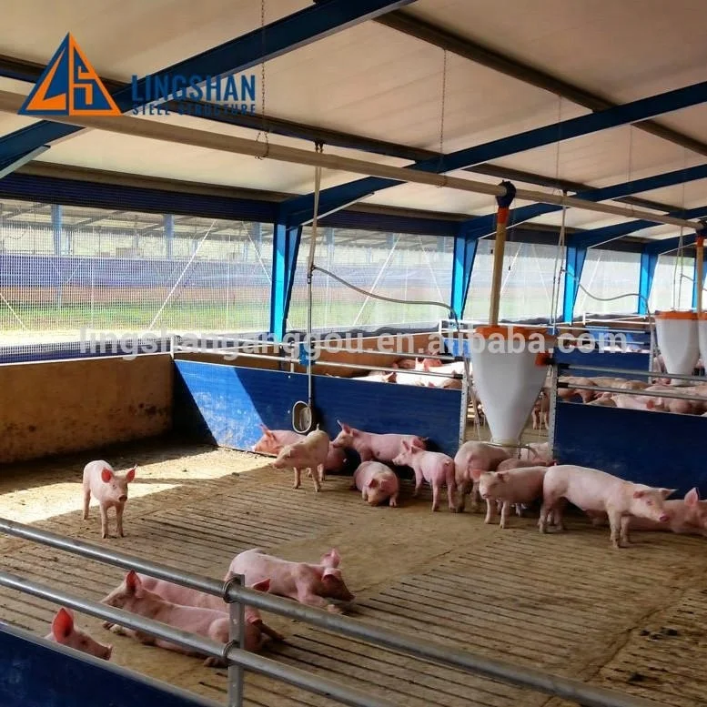 Hot  galvanizing  Steel structure prefabricated Pig farm House Tard Construction Sheds Buildings Design For Sale