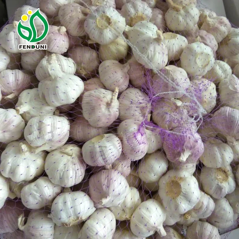 
China Low Price Best Garlic 5.5cm up in box 10kg 