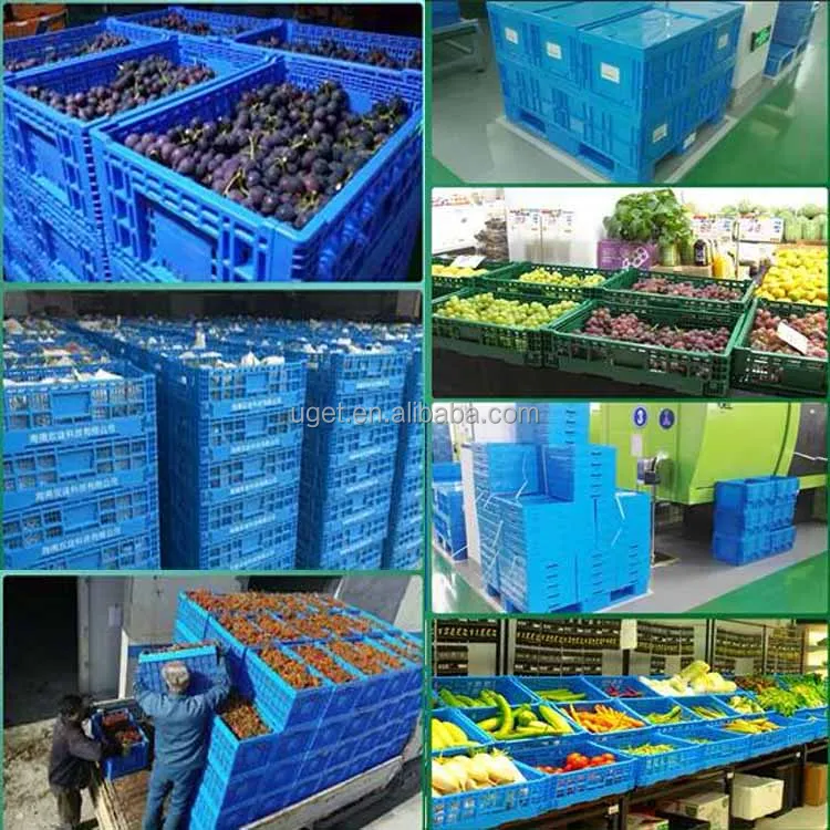 China Manufacture Fruit & Vegetable Storage Folding Plastic Crate
