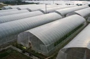 Low Factory Price Single-Span Tunnel  Plastic  Film Greenhouse for Hydroponics and Fruit Planting