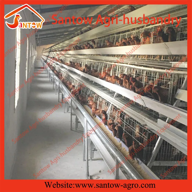 A type battery cage 4 tier chicken layer cages how to build a chicken coops for poultry farm