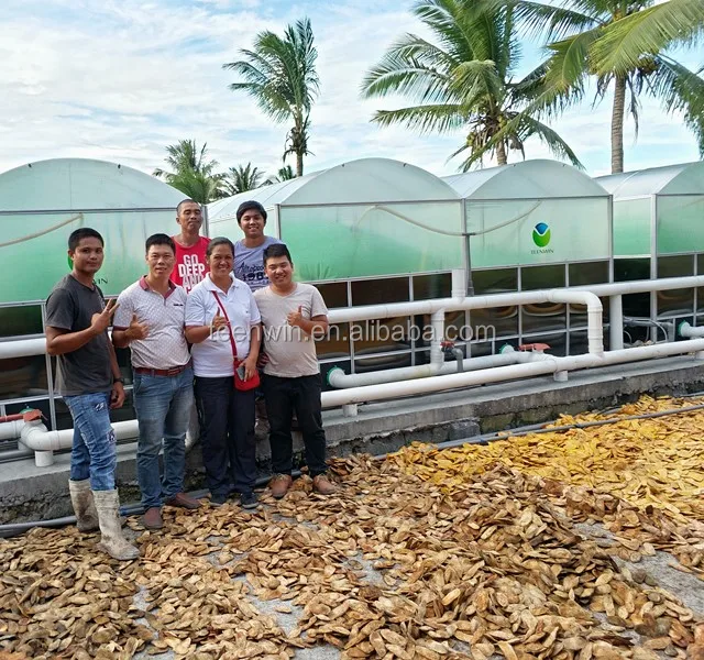 Teenwin high efficient medium size biogas plant for farms for electricity