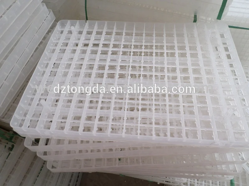 Яичный поднос Dezhou для куриных