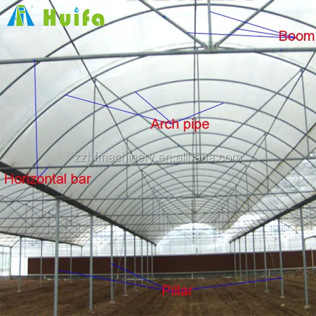 Commercial Plastic Film Green House for Tomato