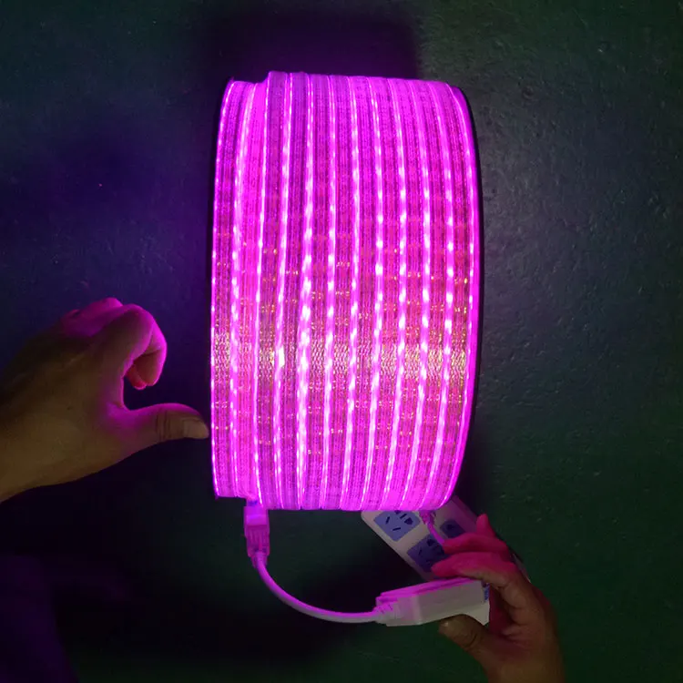  SMD 5050 RGB IP68 Водонепроницаемая Светодиодная гибкая лента 220 В водонепроницаемый 220V гибкие светодиодные полосы