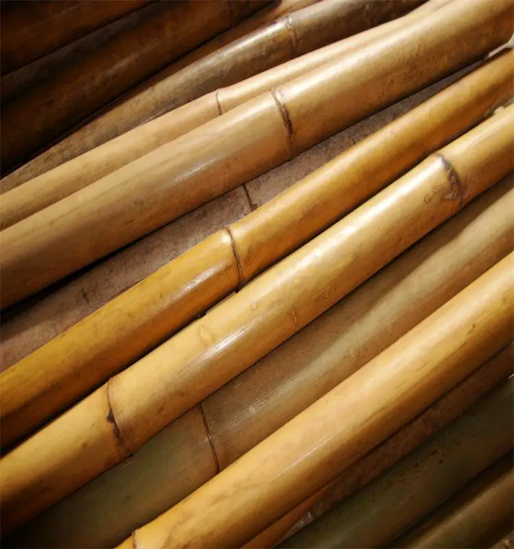 
wholesale! High-quality bamboo poles Plant support rods 