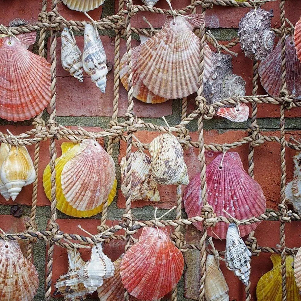 new products sea Theme Natural Colorful Shells Starfish sea decoration