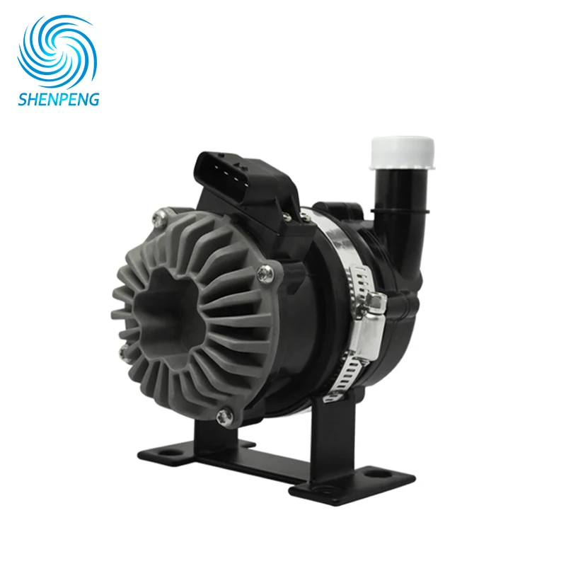 Head 9m Flow 40LPM 12v 24v Car Pump