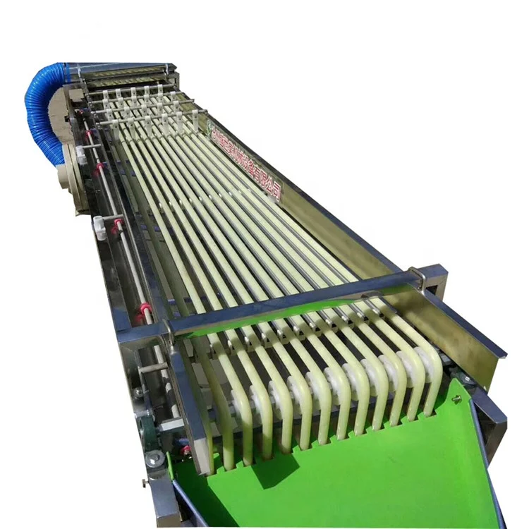 2m Length 9 Pathway Fruit Grading Sorting Machine