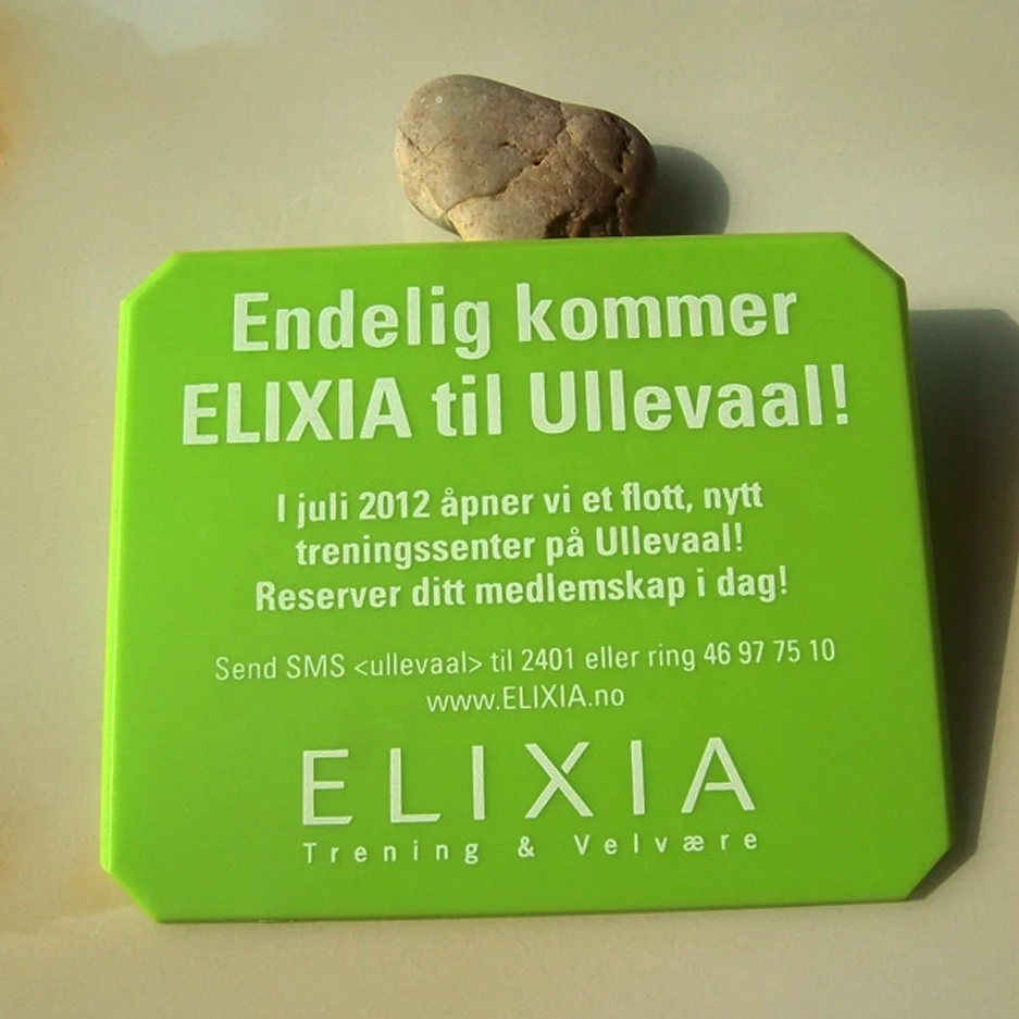 Высококачественный OEM пластиковый скребок для льда и снега