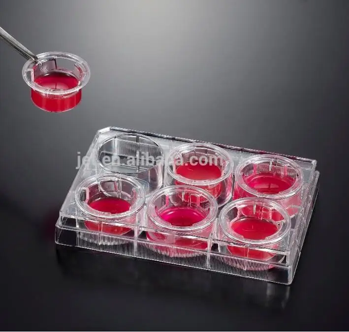 Поликарбонатные (поликарбонатные) мембранные пластины для культивирования ткани