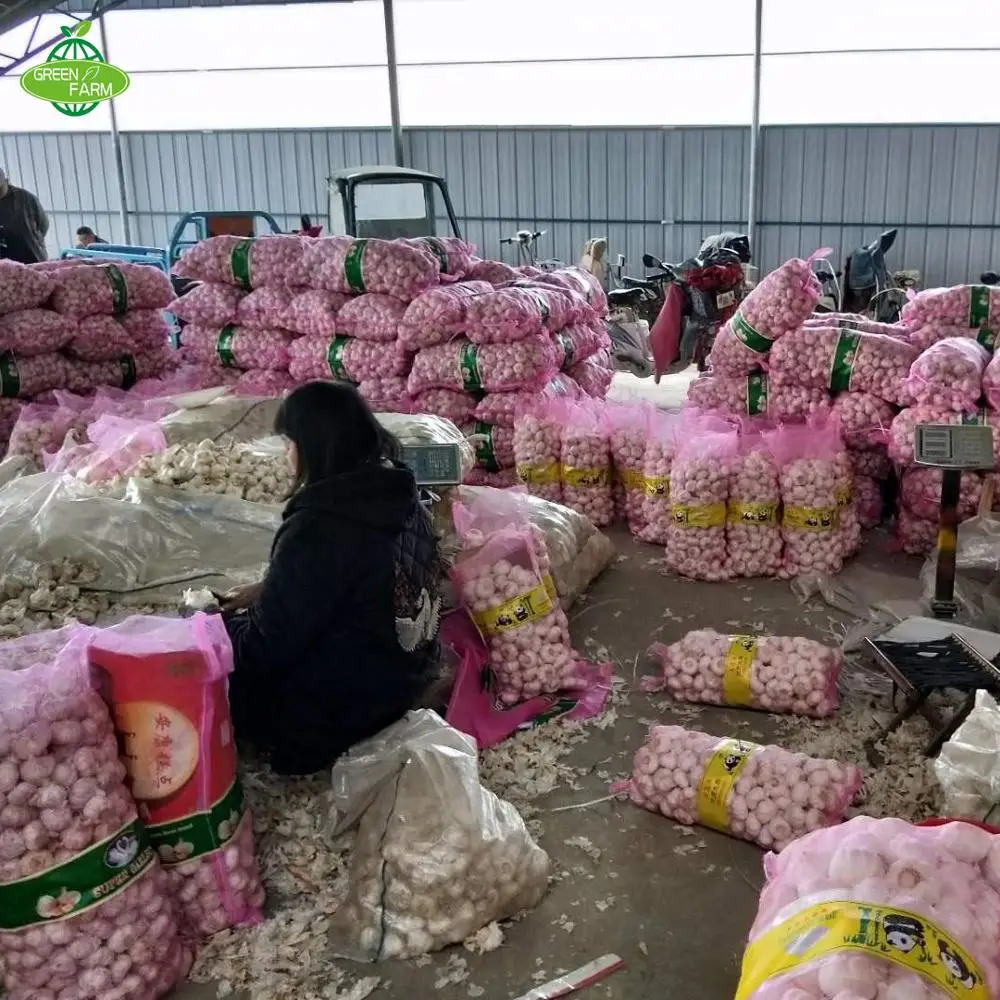 2023 свежий нормальный чеснок 5,0 см, 5,5 см, 6,0 см в сетчатых мешках 10 кг чеснока