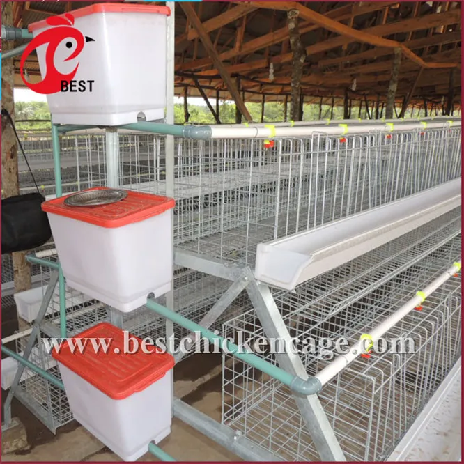 Brand new manufactures bird cages galvanization hot galvanized chicken cage for wholesales