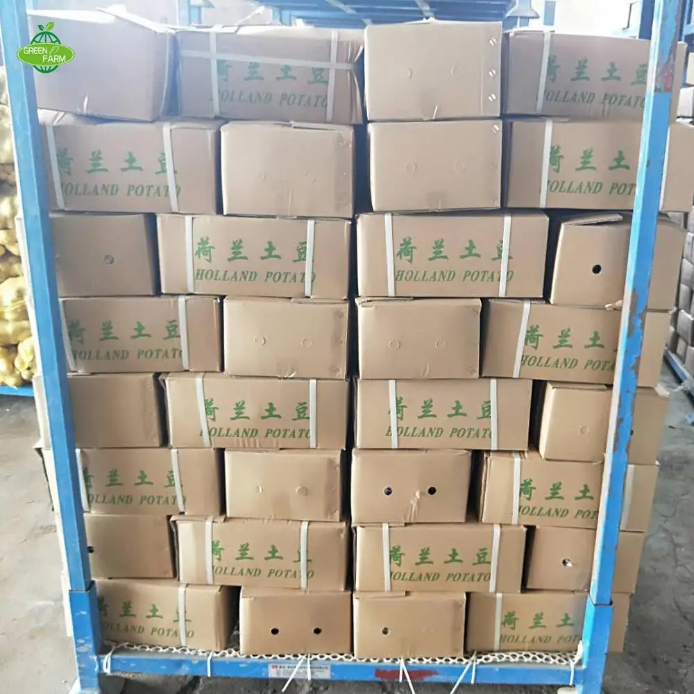 100-250g carton/net bag fresh potatoes looking for global potato buyers