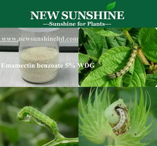 Hot Sale High Quality Benzoate Emamectin Price 90% /70% TC, 30%/20%/10% WDG, 5% SG Formulation Agrochemical Insecticide