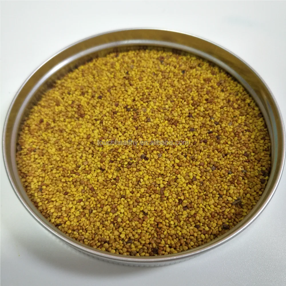 
2021 white clover seeds/Trifolium repens L seeds/forage grass seeds 