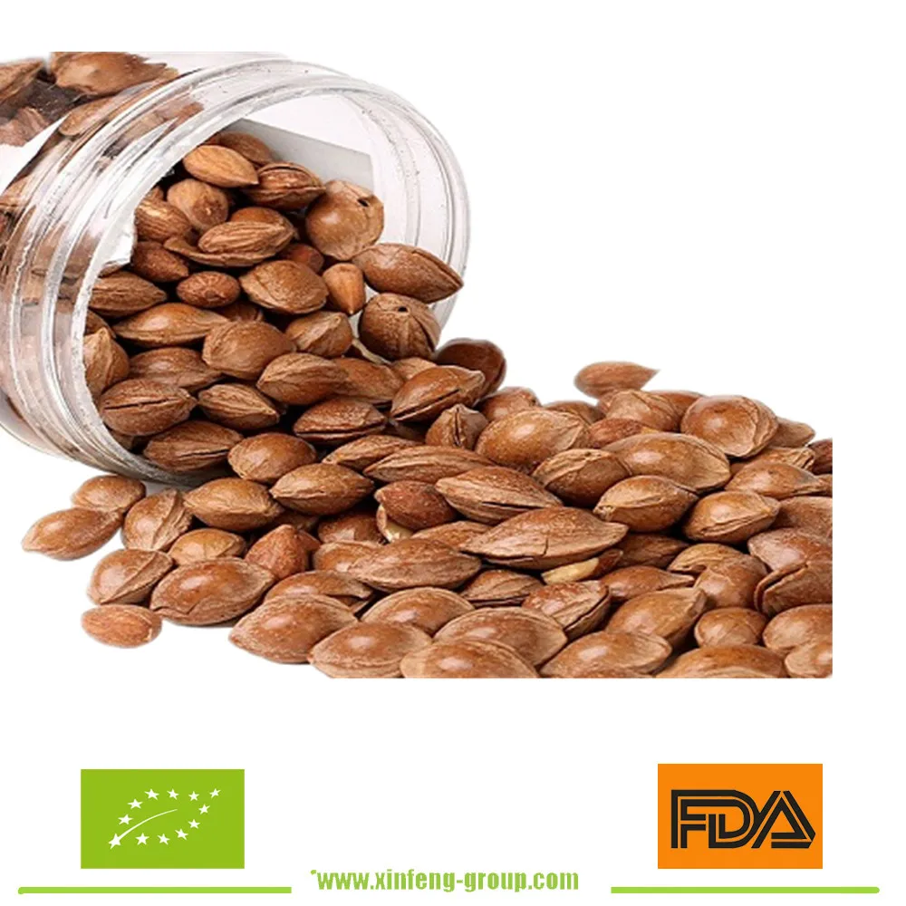 apricot kernel apicot seeds for sale bitter apricot seeds for sale good health