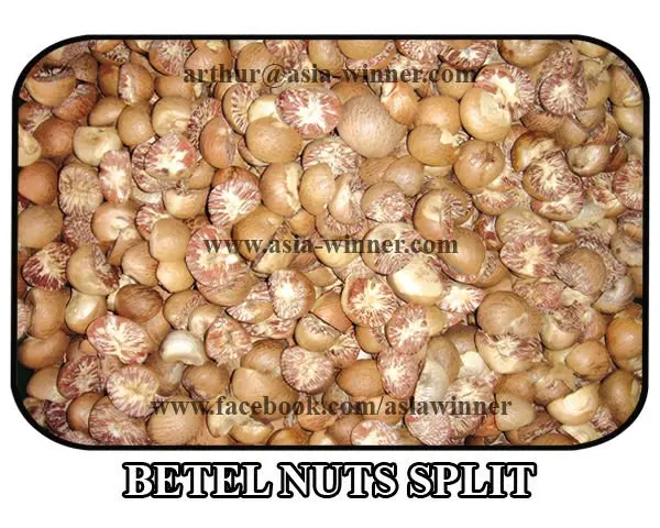 Betel Nuts [Split]