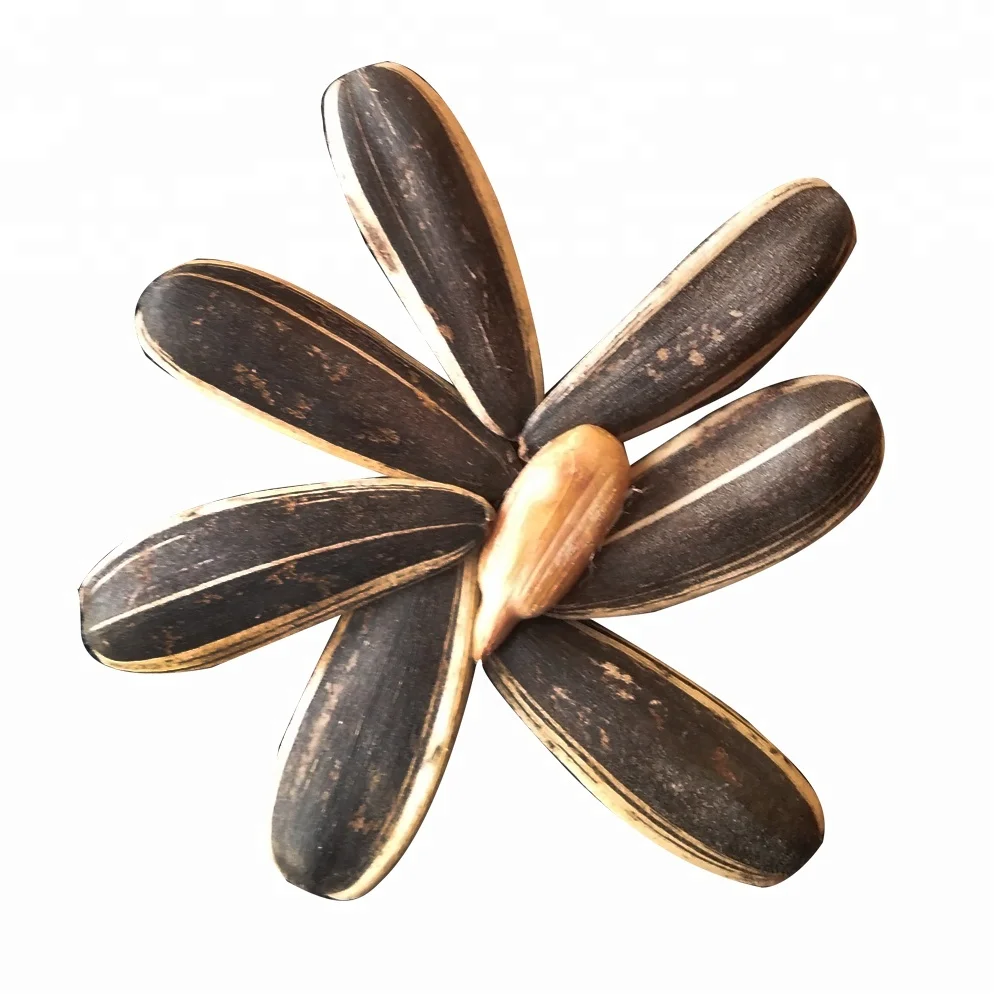 
2017 crop Chinese roasted black sunflower seeds three brow with shell in high quality snack wholesale 