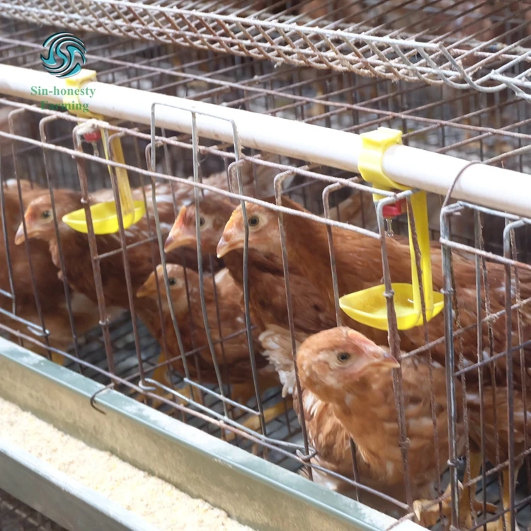 3tiers 4tiers layer chicken egg cage battery cages for chicken farm