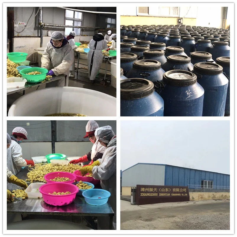 Консервированный гриб cogumelo для рынка Бразилии