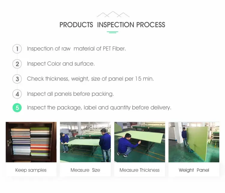 acoustic solution-13