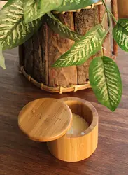 Eco-Friendly Professional-Grade 100% Organic Bamboo Salt Box Durable Salt And Pepper Storage Container For Kitchen
