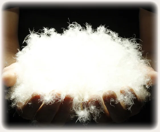 Wholesale Cheap Price Washed White Goose Down Feather