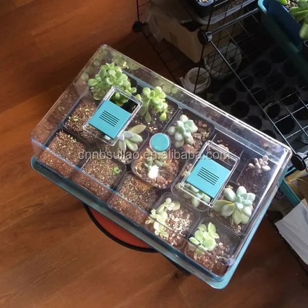 
 Хобби теплица/теплица для раздувных растений  