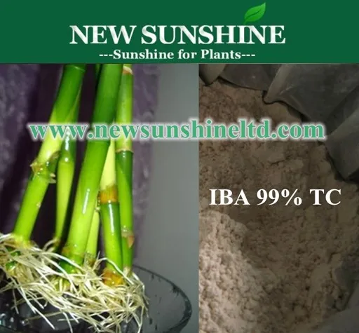 
99% Root Hormone IBA High Quality Indole Butyric Acid Iba agricultural chemical Indole butyric acid IBA 
