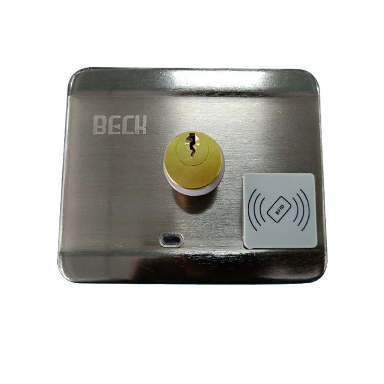 12 V DC Iron High Quality Security Rim Door Lock RD-229