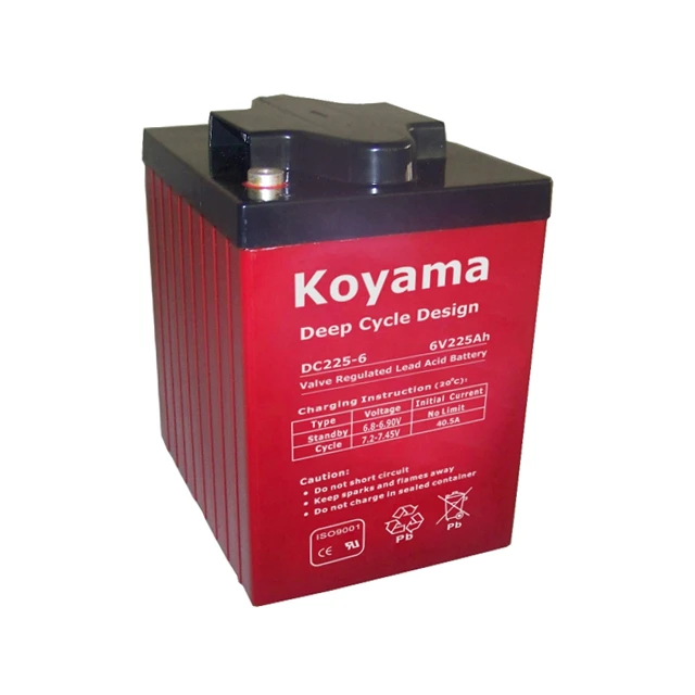 DC225-6 6V 225Ah Deep Cycle AGM Battery 12V Street Sweeper Power Sealed Free Maintenance for Energy Storage and Boats