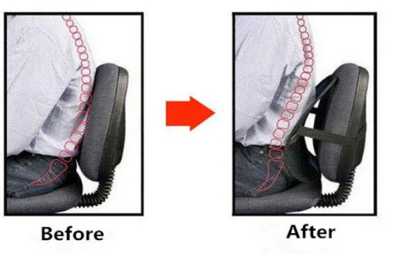 back support (12).png