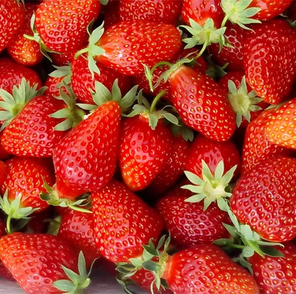 Peeled Garlic Separator/Strawberry Cherry Sorting Machine